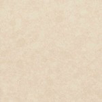Evo Crema